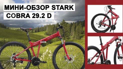 Мини-обзор Stark Сobra 29.2 D