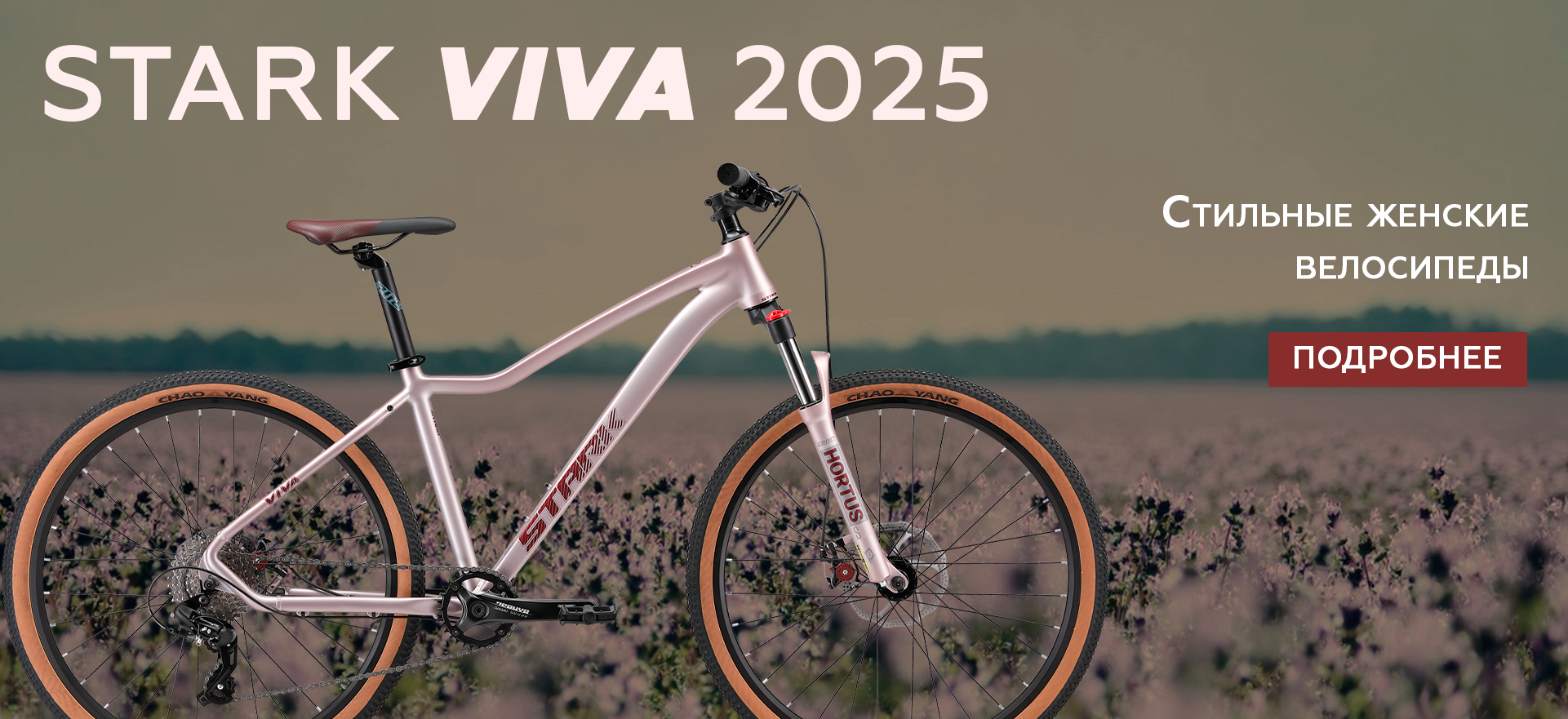 Stark viva 2025