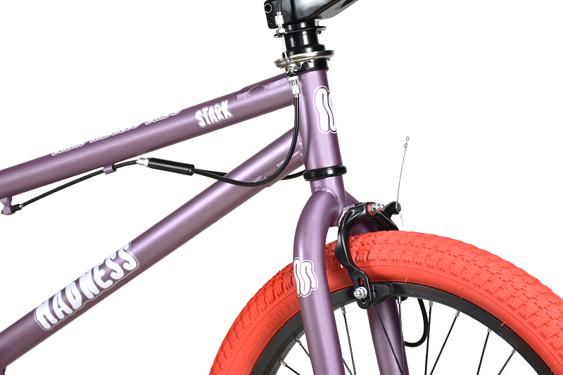 Madness BMX 2 (2024)